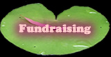 Fundraising page
